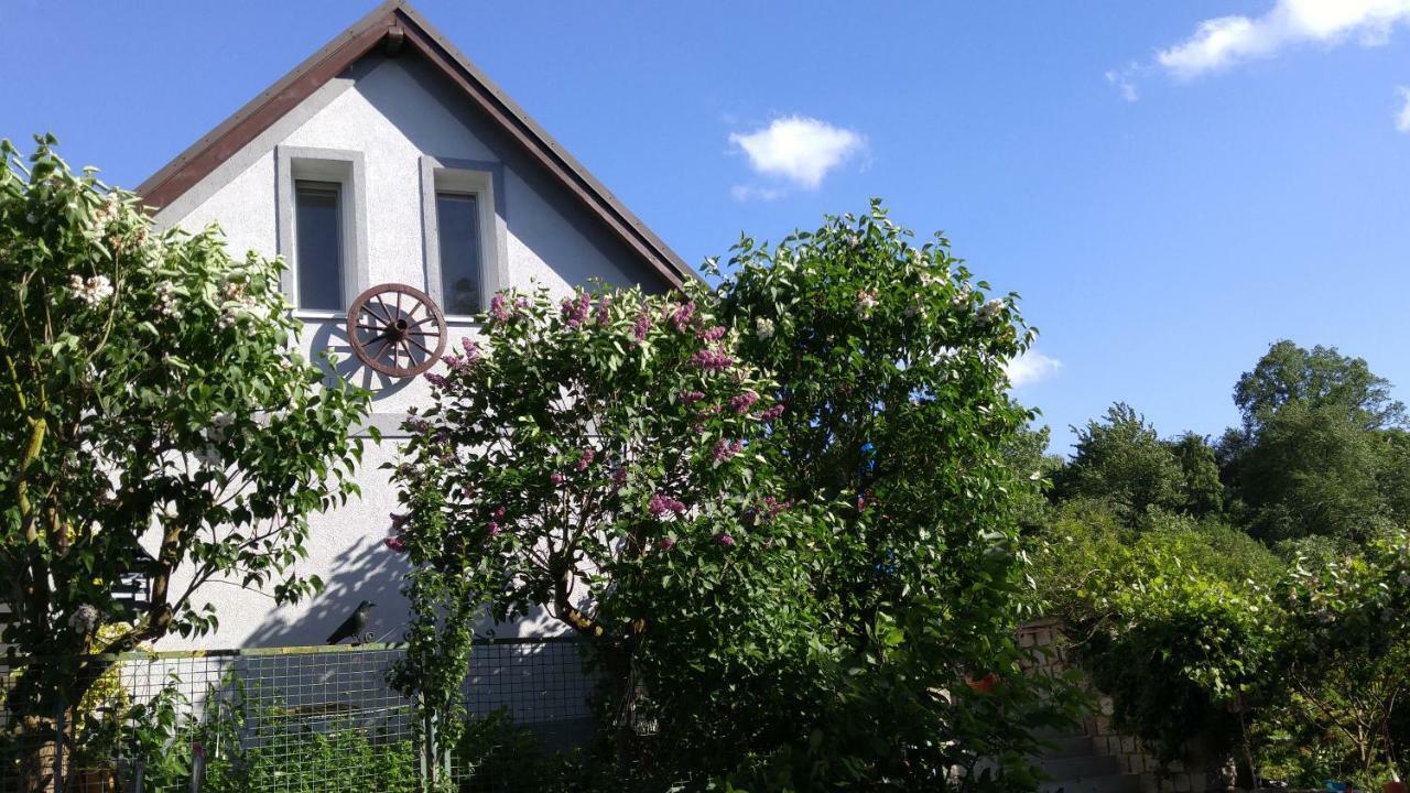 Apartamenty Na Skarpie 米兹多洛杰 外观 照片